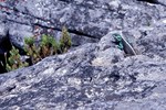 Der Tafelberg